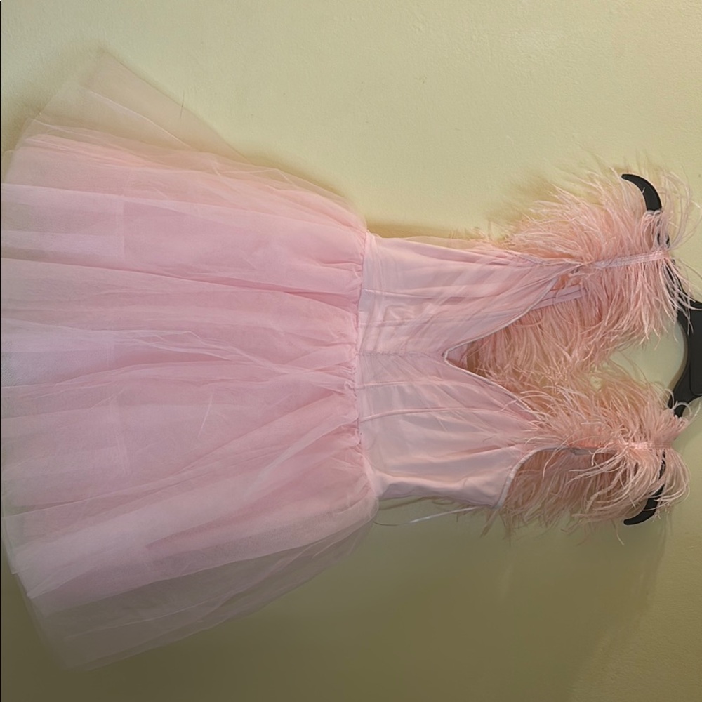 Pink Feathered Tulle Dress